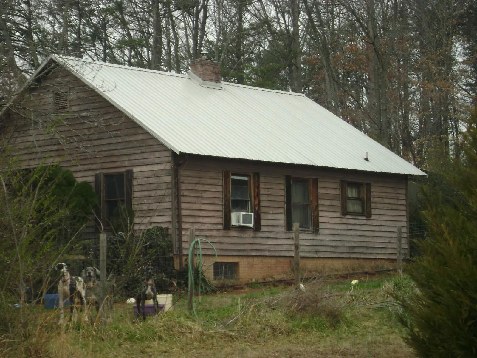 White metal roof on an old wood sided farmhouse, from a Asphalt Shingle Roof Repair job in Lansing